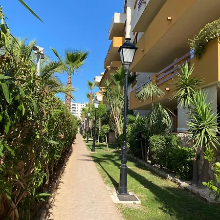 Con Piscina Y Playa Cercana En Torrevieja, Area De Punta Prima Aq-125 Apartment Punta Prima (Alicante)